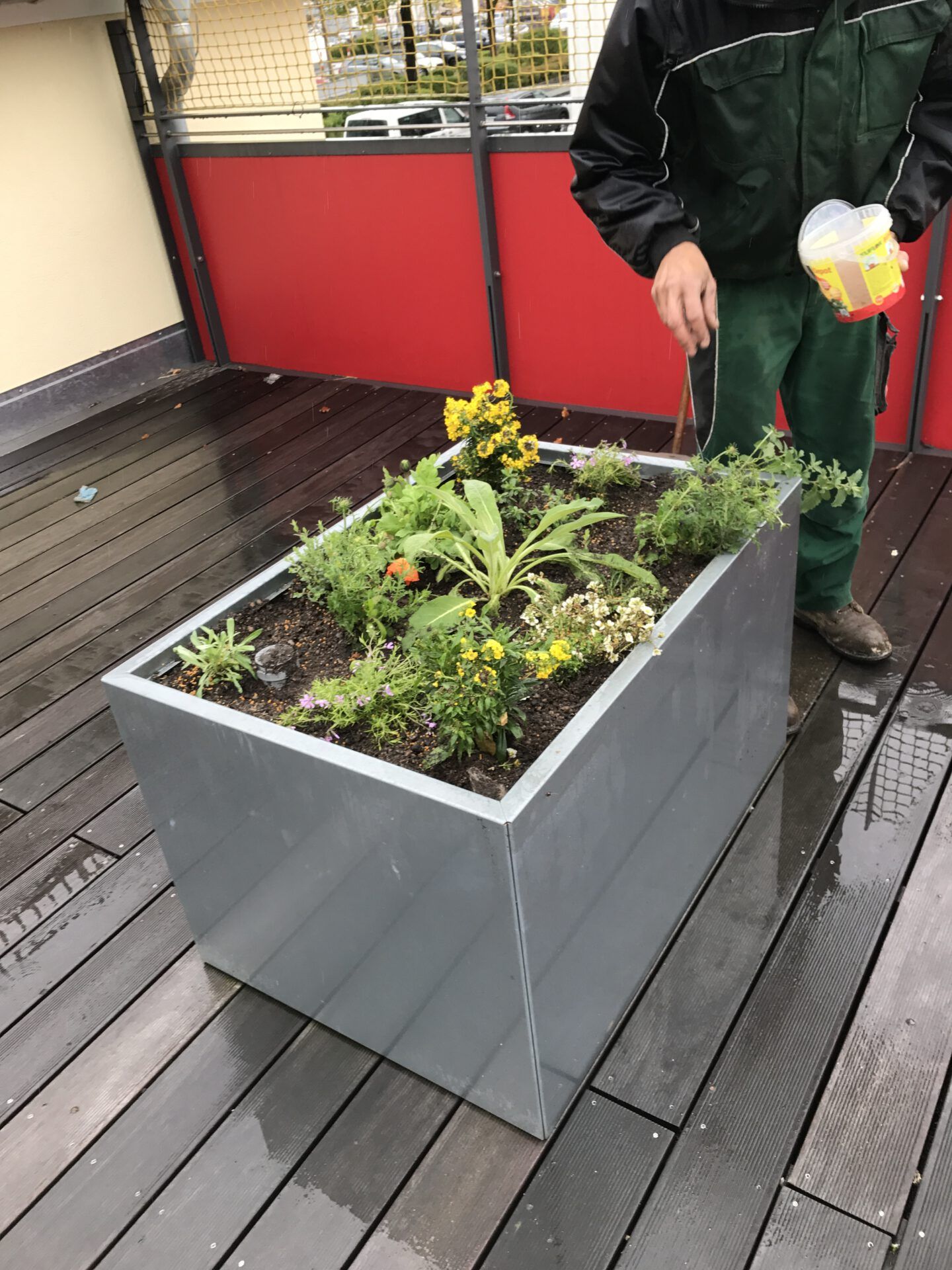 Haus- und Gartenservice Pasalic - Rasen- und Blumenpflege