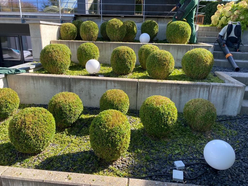 Haus- und Gartenservice Pasalic - Hecken- und Straucharbeiten