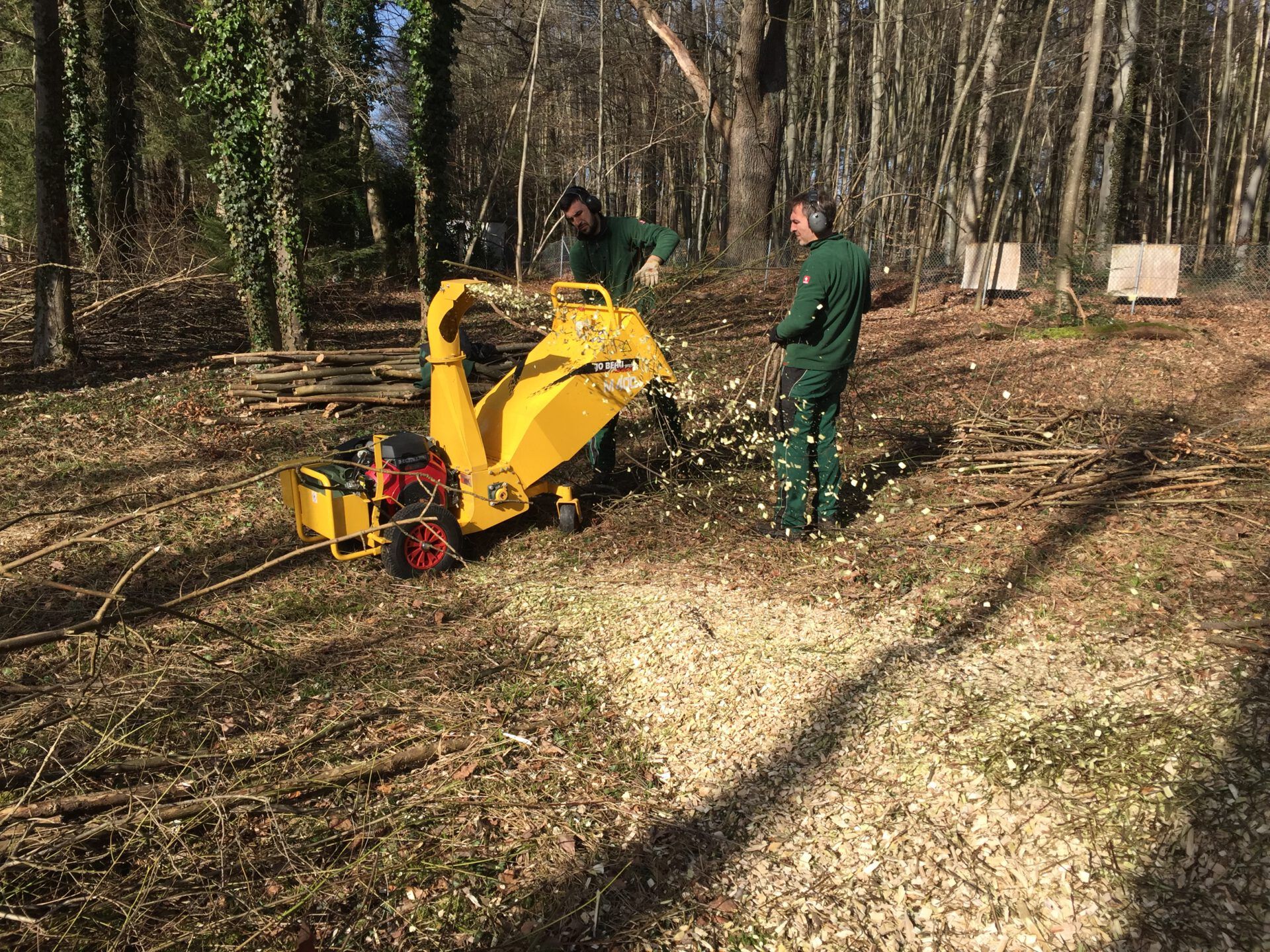 Haus- und Gartenservice Pasalic - Baum- und Astarbeiten