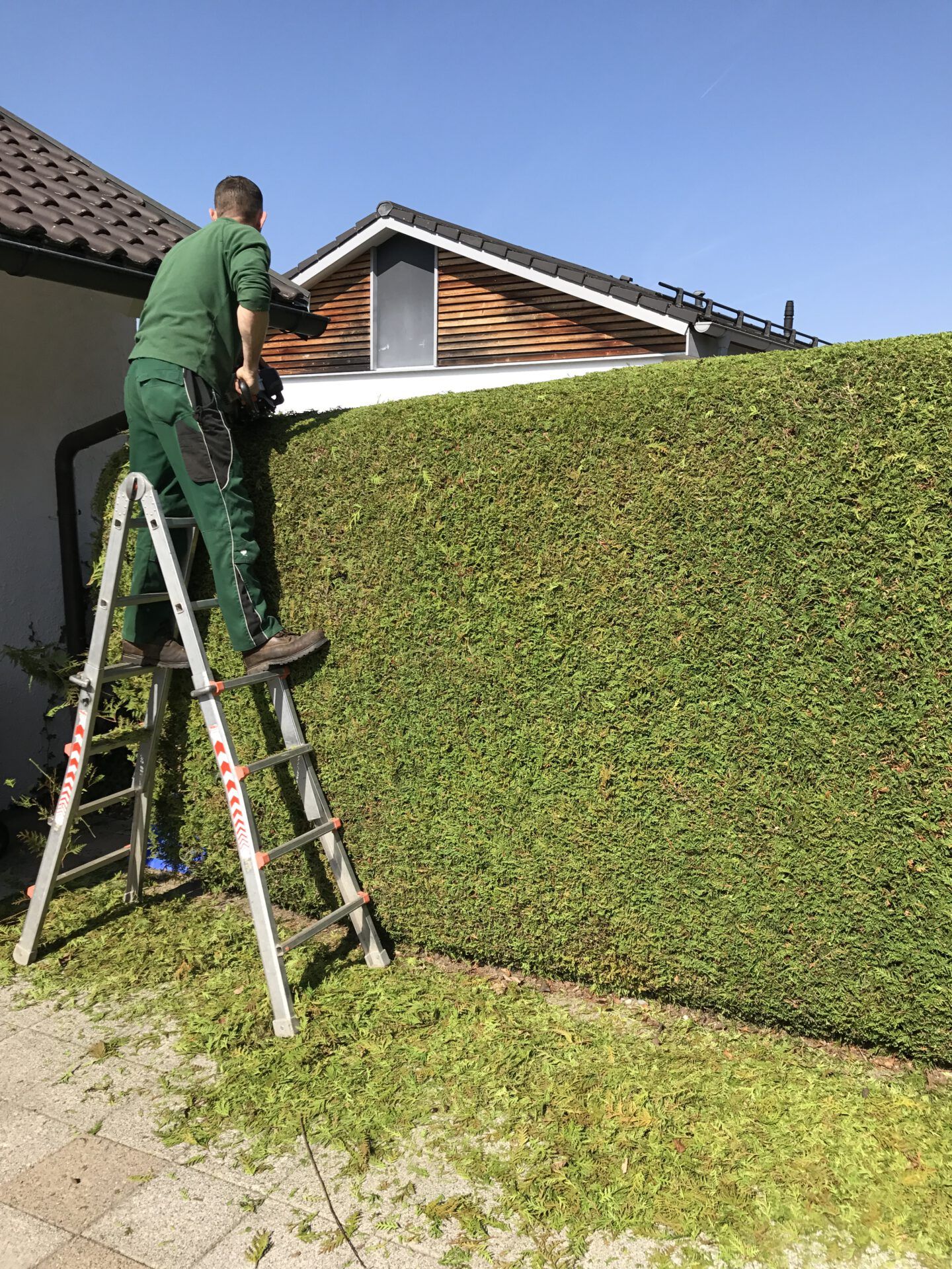 Haus- und Gartenservice Pasalic - Hecken- und Straucharbeiten