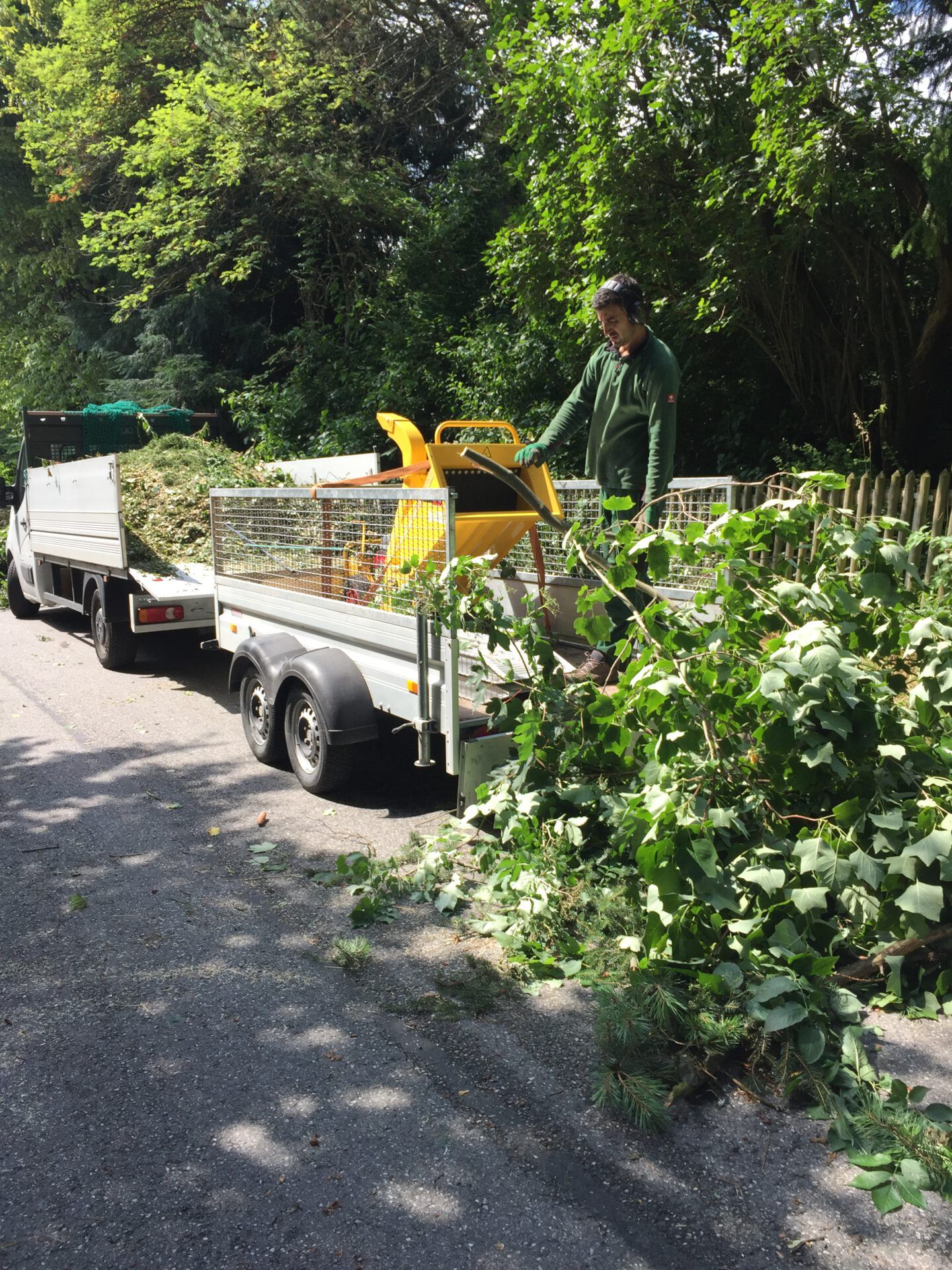 Haus- und Gartenservice Pasalic - Baum- und Astarbeiten
