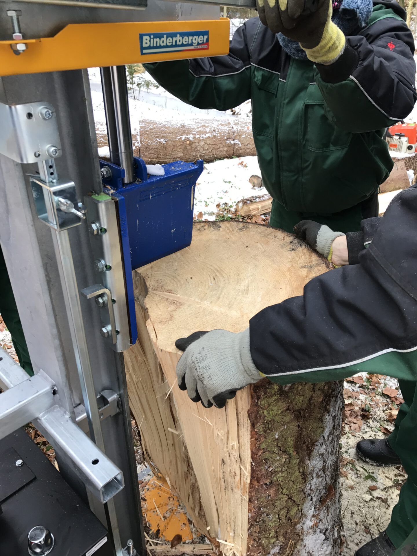 Haus- und Gartenservice Pasalic - Baum- und Astarbeiten