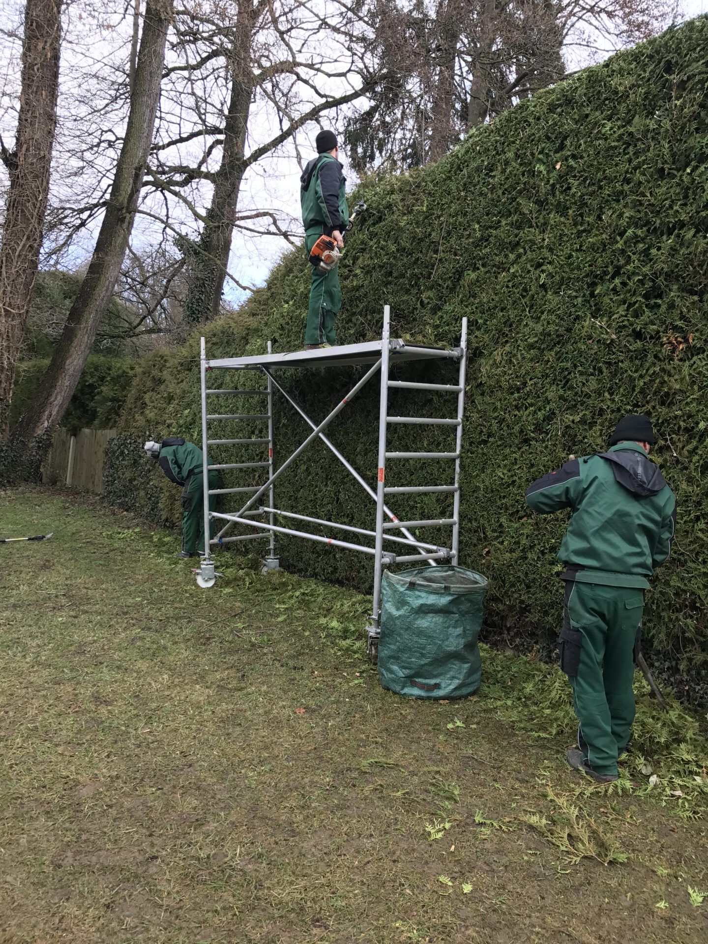 Haus- und Gartenservice Pasalic - Hecken- und Straucharbeiten