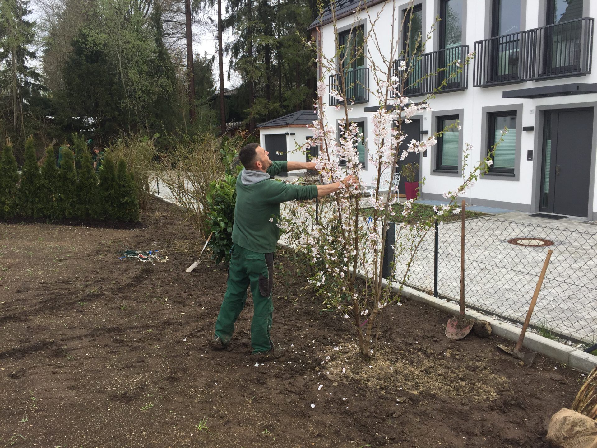 Haus- und Gartenservice Pasalic - Hecken- und Straucharbeiten