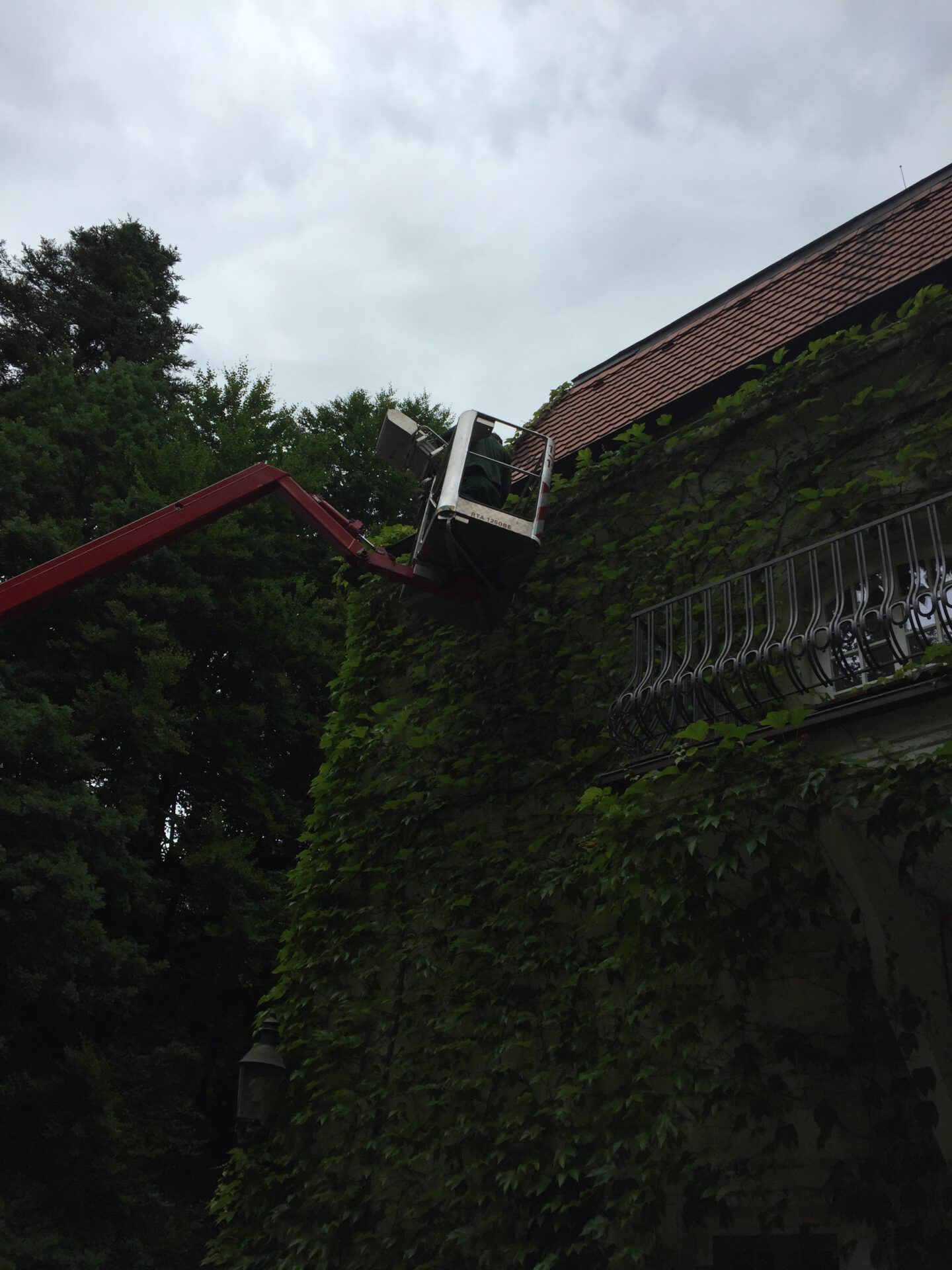 Haus- und Gartenservice Pasalic - Hecken- und Straucharbeiten