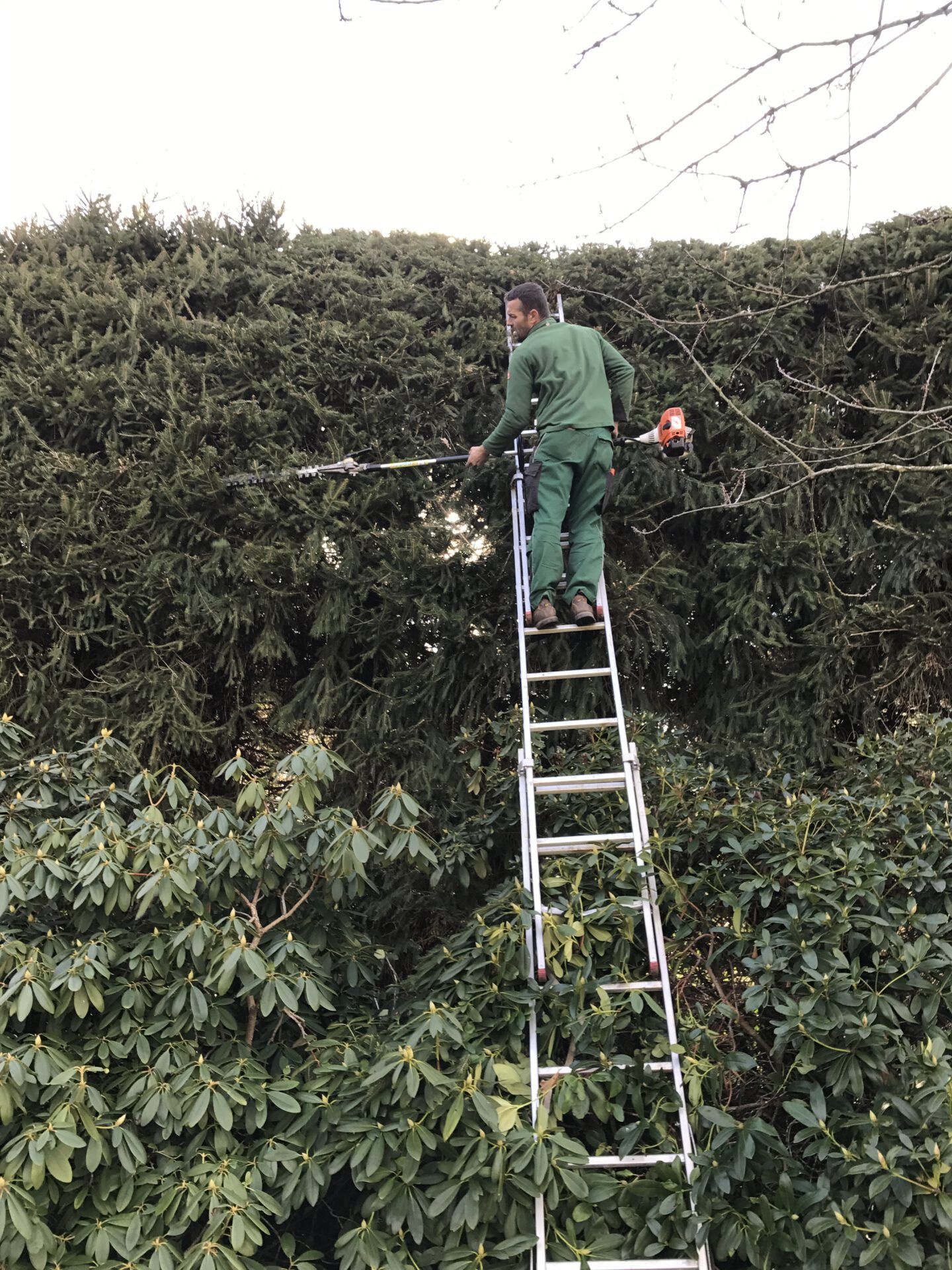 Haus- und Gartenservice Pasalic - Hecken- und Straucharbeiten