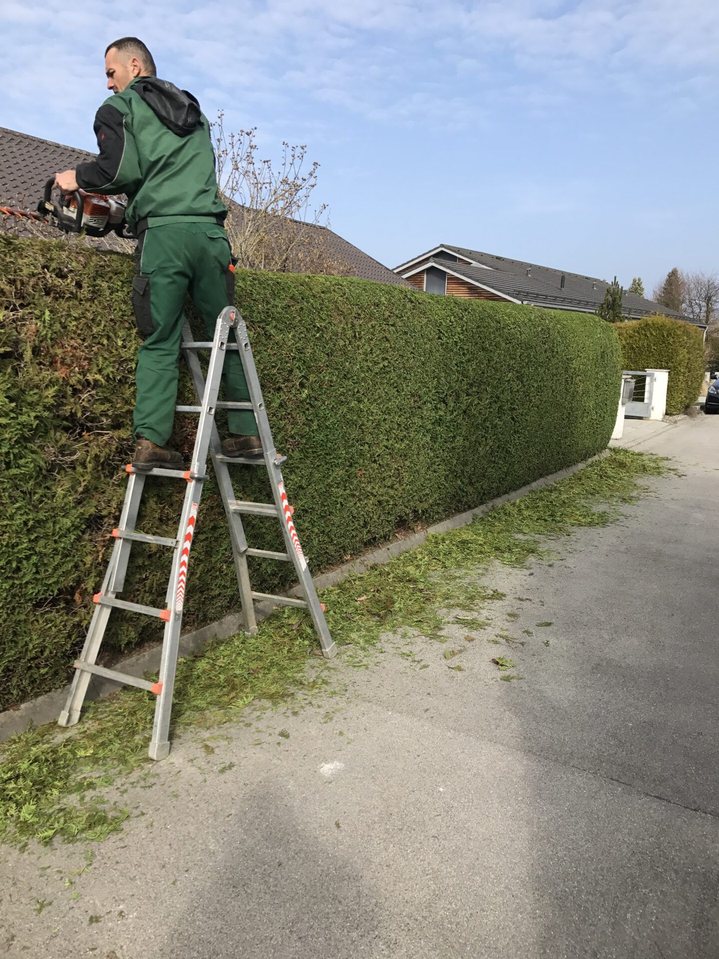 Haus- und Gartenservice Pasalic - Hecken- und Straucharbeiten