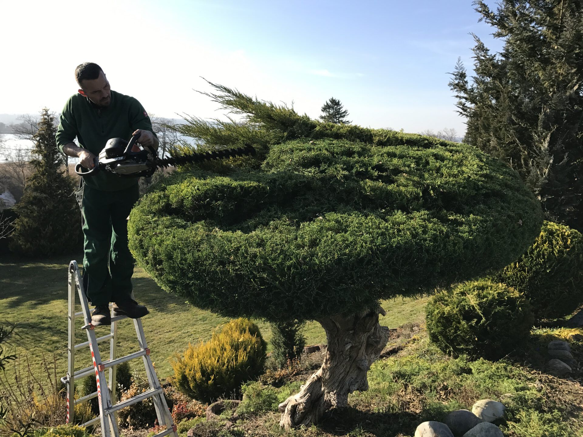Haus- und Gartenservice Pasalic - Hecken- und Straucharbeiten
